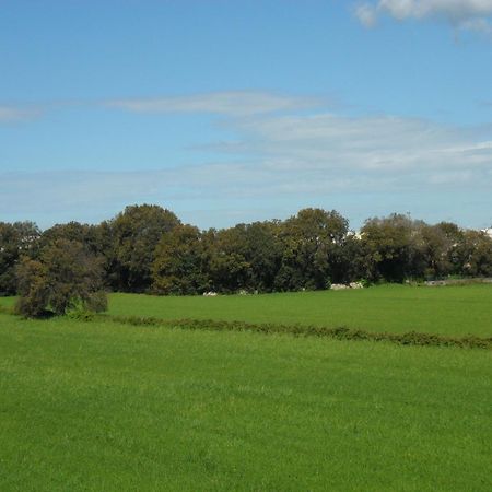 Masseria Gattamora ウッジャーノ・ラ・キエーザ エクステリア 写真