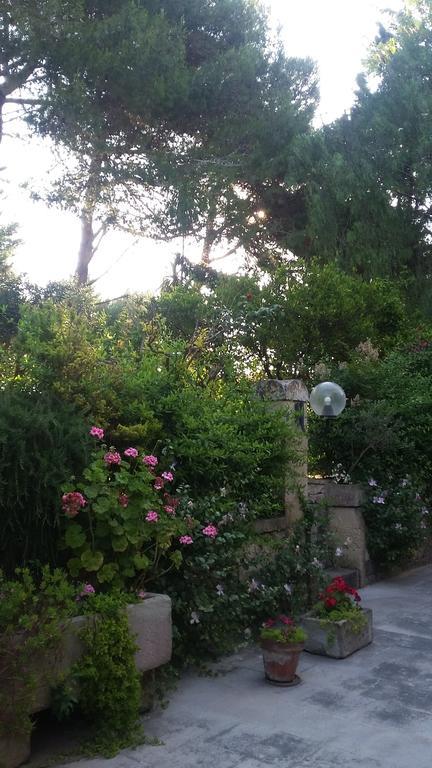 Masseria Gattamora ウッジャーノ・ラ・キエーザ エクステリア 写真
