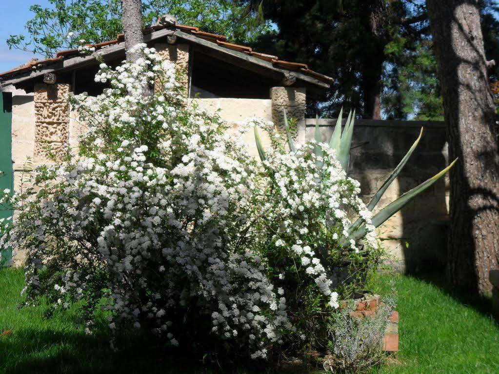 Masseria Gattamora ウッジャーノ・ラ・キエーザ エクステリア 写真